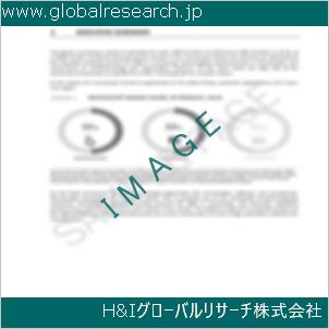 グローバルリサーチ調査資料のイメージ